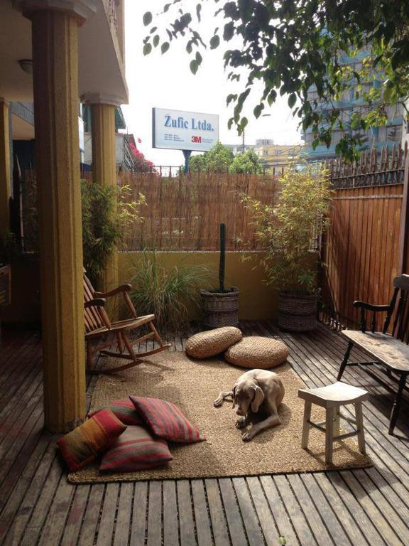 Backpacker'S Hostel 伊基克 外观 照片